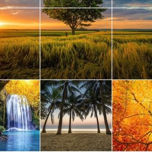 Meet your Posher, Peter